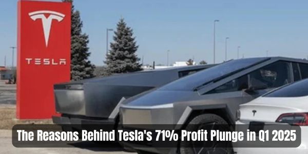 The Reasons Behind Tesla's 71% Profit Plunge in Q1 2025