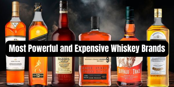 Most Powerful and Expensive Whiskey Brands