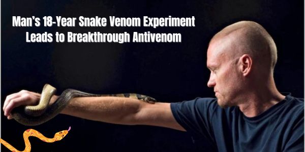 Man’s 18-Year Snake Venom Experiment Leads to Breakthrough Antivenom