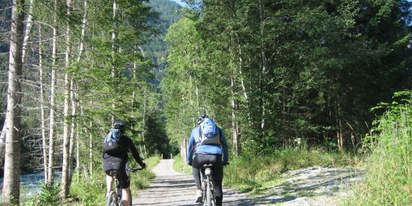 World Bicycle Day 2025: Pedal for a Healthier You and a Greener Planet 2 benefits of cycling