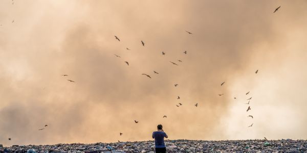 India’s Environmental Challenges 2025