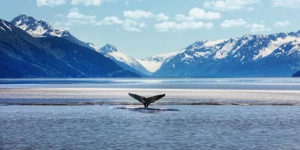 Why Trump and Putin Chose Alaska: Facts, History, and Global Importance