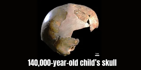 World’s Earliest Evidence of Homo sapiens and Neanderthals Interbreeding Found in 140,000-Year-Old Child’s Skull