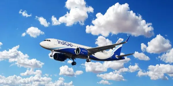 The Interview Times 36