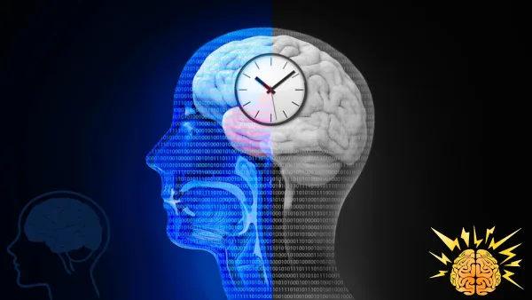 Resetting the Body’s Rhythm: The New Science Behind Protecting the Aging Brain