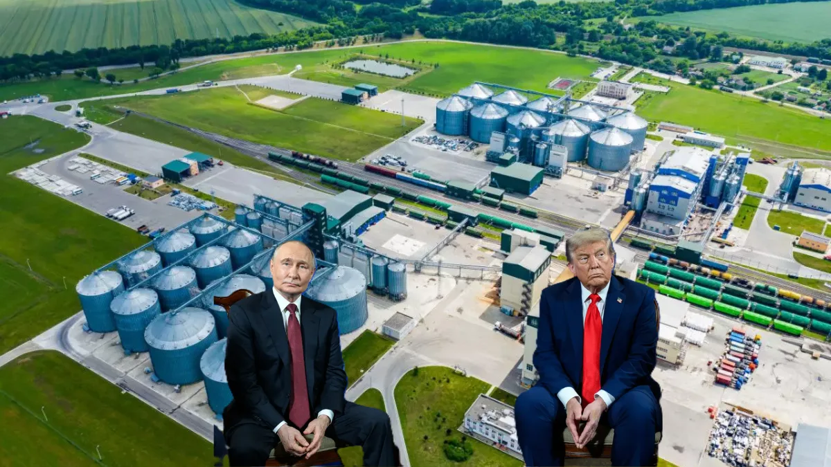 Sanctions on Russian Gas Reshape Global Markets as US LNG Dominance Surges