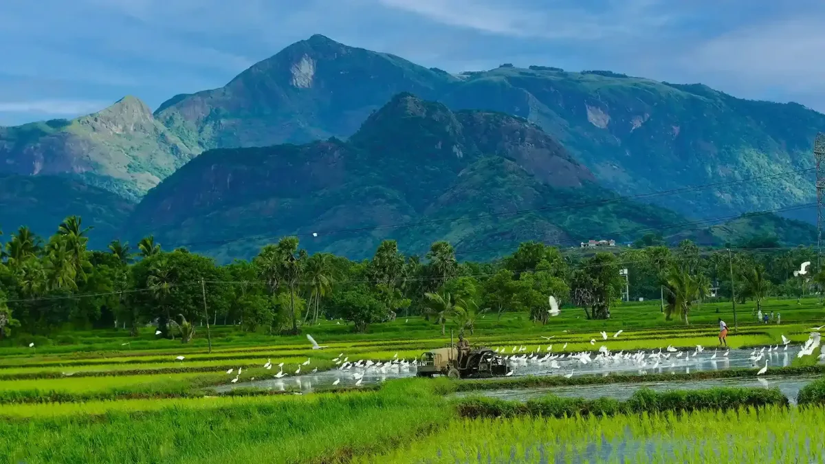 Kerala Tourist Destinations 2025–2026: The Ultimate Guide for Foreign Travelers