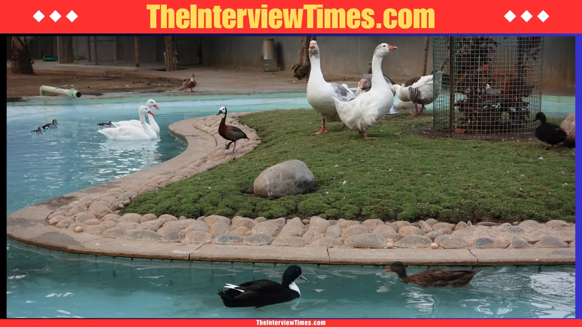 India e-Arrival Card and eVisa 2026: Complete Digital Entry Guide for Foreign Travellers